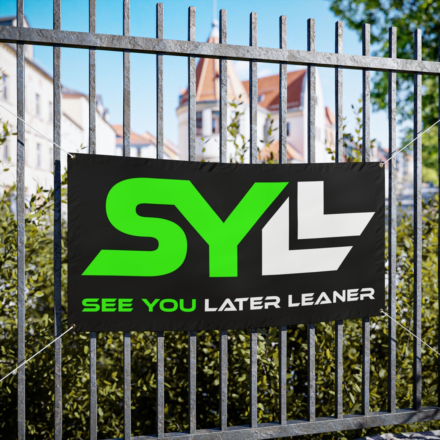 Vinyl Banners